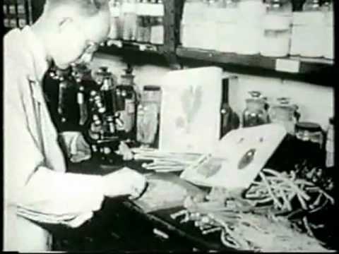 The episode on the 'Origins of Medical Industry' delves into the historical conflict between allopathic doctors and empiri...