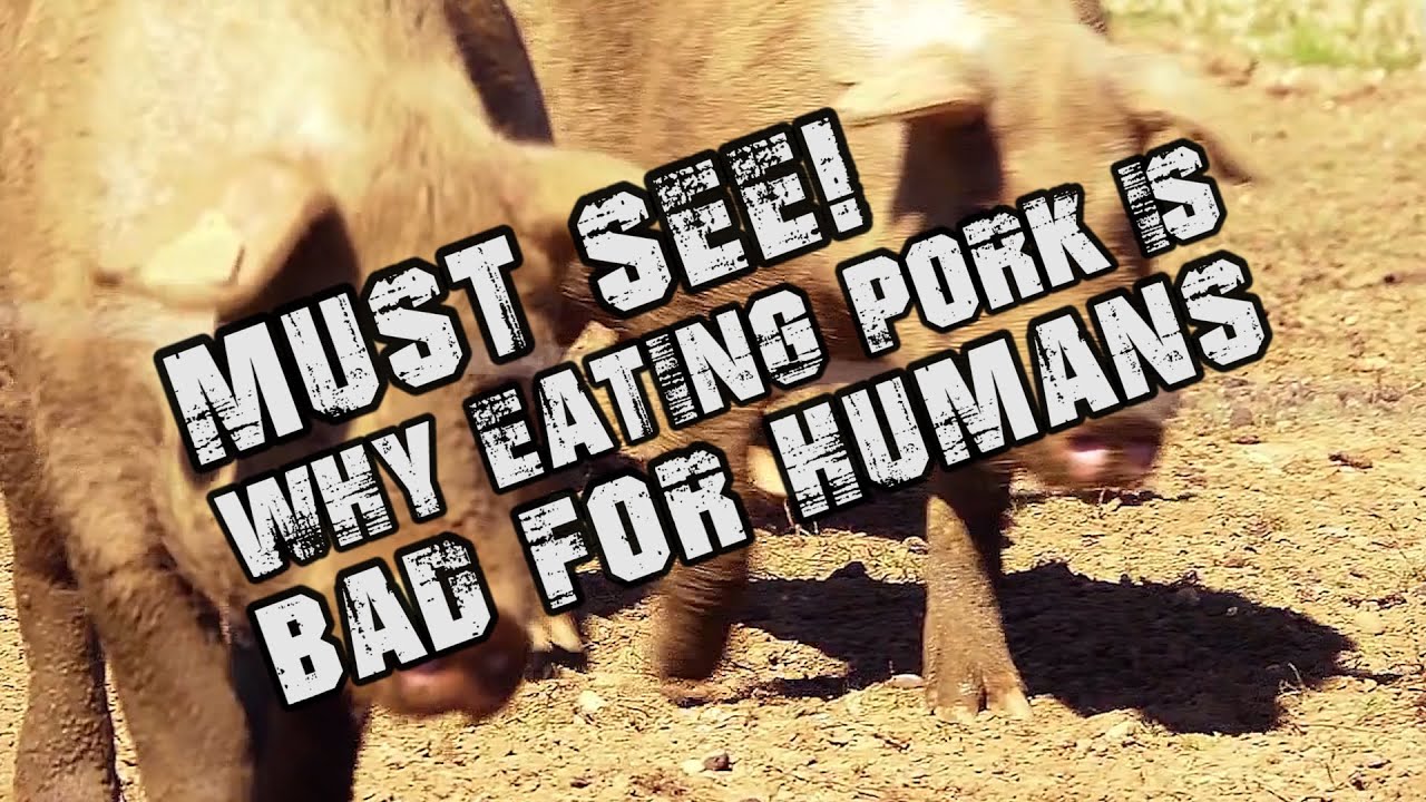 Understanding the Harmful Effects of Pork Consumption
In this enlightening episode, Eddie discusses why eating pork is det...