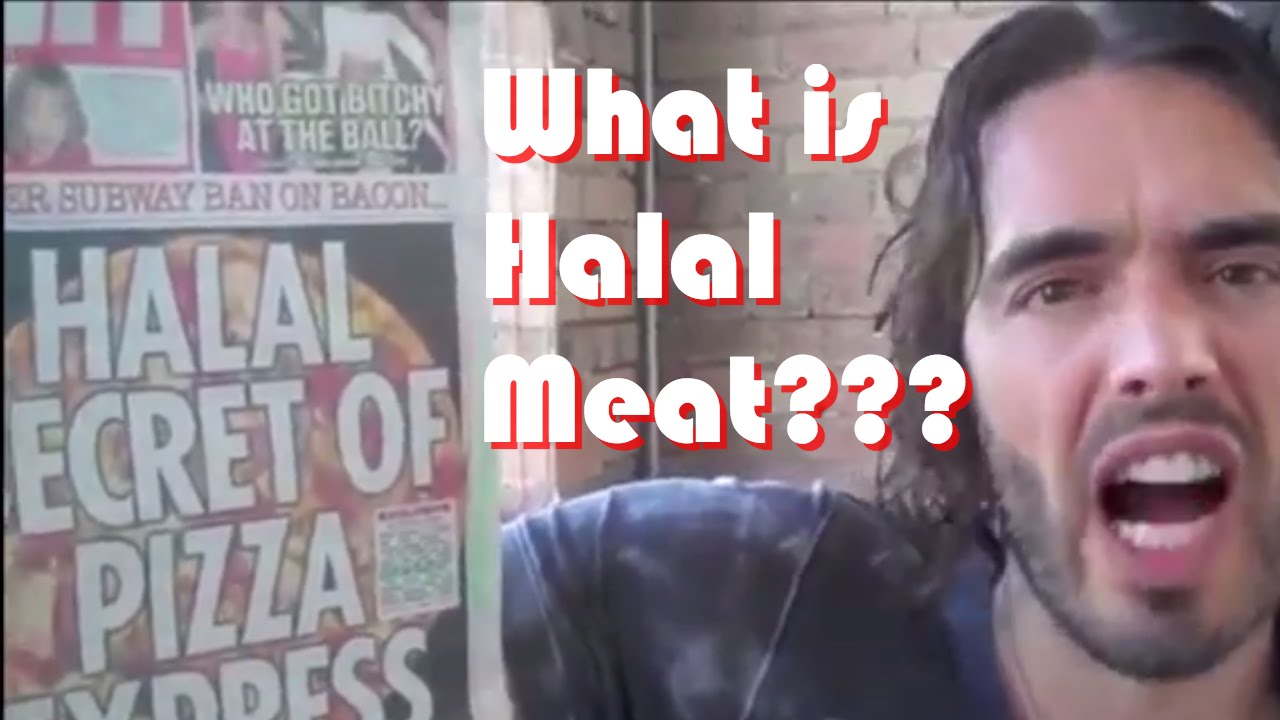 MUST SEE!!! Why do Muslims eat Halal - It's Unbelievable to see how these animal submit in ISLAM when the Muslims recite G...