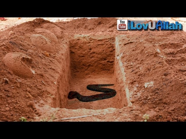 Snake in the grave, Islamic reminder about a true story that took place many years ago to the governer of Isntanbul.. (the...