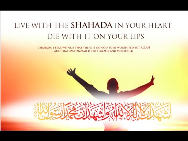 A hardcore Atheist realized that he rather die as a believer and go to Paradise instead of dying as a disbeliever and endi...