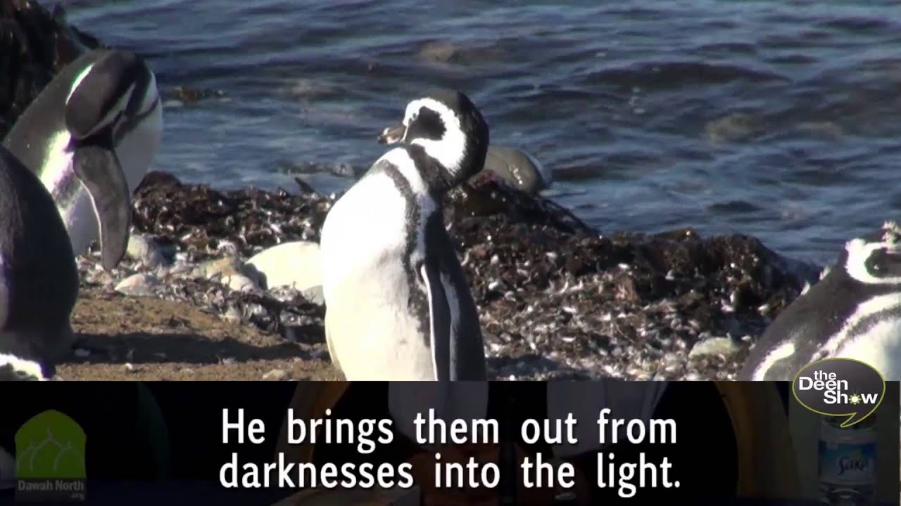 10 Facts about the Qur'an
1.Preserved in Arabic word-for-word, without any alterations for over 1400 years, as revealed to...