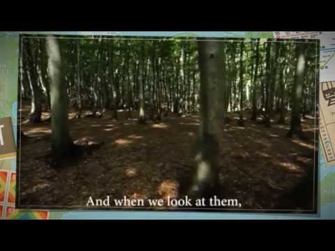 What are the most important factors for a woman in choosing a husband? If she rejects a righteous man for some worldly rea...