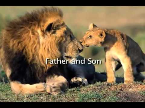 Surah Al Iklaas - Allah, out of His mercy, gave these ayat as a criterion to determine whether the gods a person worships ...