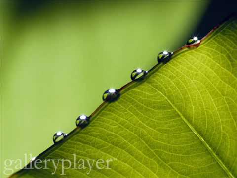 Part 1: I am the worshiper who earned the sins forbid by the wishes from seeking forgiveness. I am the worshiper who wakes...