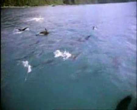 Praise be to Allah
My dear Muslim brother, your efforts to call people to Allah and explain the reality of Allah&rsquo;s e...