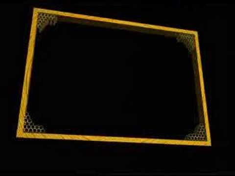 THE FEMALE HONEY BEE
&nbsp;
Your Lord revealed to the bees: "Build dwellings in the mountains and the trees, and also in t...