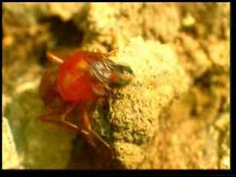 For atheists who disown their Creator because of being unable to see. And uses the "evil-lotion" to ignore the facts. Thes...