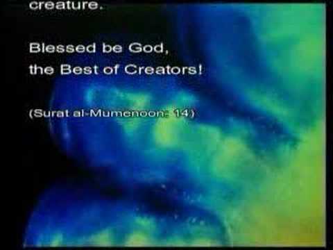 Praise be to Allaah.
&nbsp;
Firstly:&nbsp;
What the verse means is a reminder to man of his origin and that he was created...