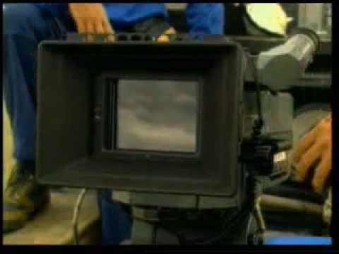 For dolphins, breathing is not a reflex, as it is for humans and other land mammals, but rather a voluntary movement. In o...